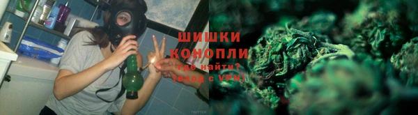 дмт Инта