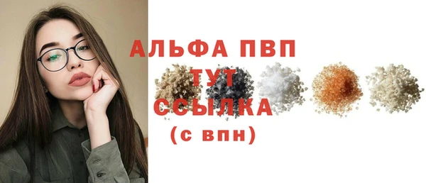дмт Инта