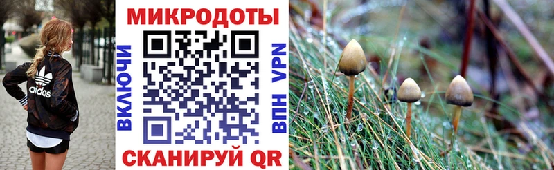 Купить где  Дюртюли  Галлюциногенные грибы Cubensis 